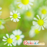 大阪府松原市の認定こども園!フルタイムで収入安定!年齢不問◎保育士