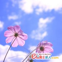 正社員/幼稚園教諭|明治36年開設の自然豊かな幼稚園|京都「宝ヶ池」駅近