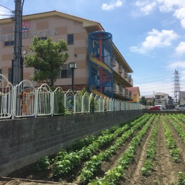 保育士｜土日祝休&残業無｜近くに姉妹園もアリ｜志紀／恩智