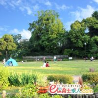 保育士|生駒郡三郷町|月~金8~17時&残業ナシ|年齢別クラスの副担任