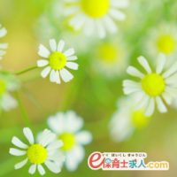 保育教諭時給1280円|月~金or月~土のうち週5日|環境抜群|南千里