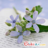 調理師時給1320円|定員100名の認定こども園|日曜定休&週5日勤務|長原|八尾南