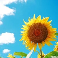 尼崎「立花」◆時給1,320円*働き方など色々相談できます★